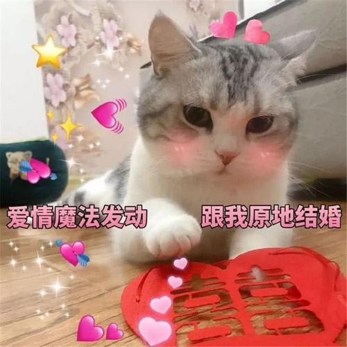 超甜的撩人表情包,比"我爱你"肉麻多了,张张勾魂!