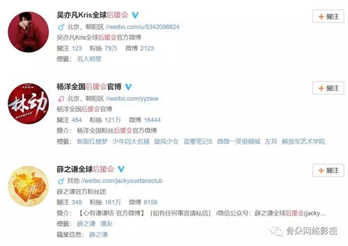 "天生脾气爆,不好惹",不仅是魏璎珞的性格,竟也成为如今一些粉丝普遍