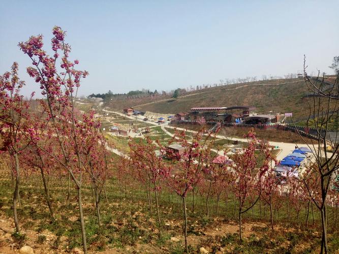 绵阳盛世樱花悠乐谷