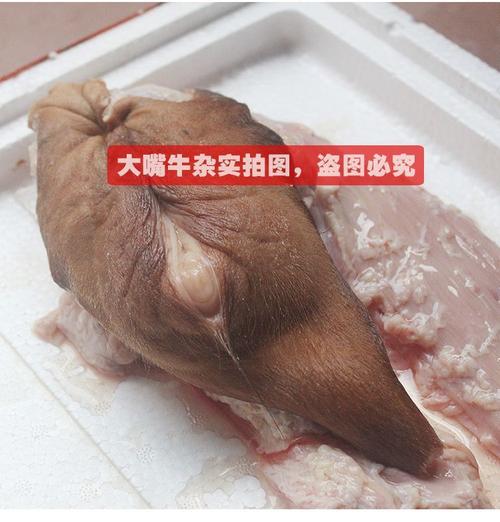 伟博牛欢喜新鲜男用母牛外阴牛子宫二姐碗口大嘴牛杂