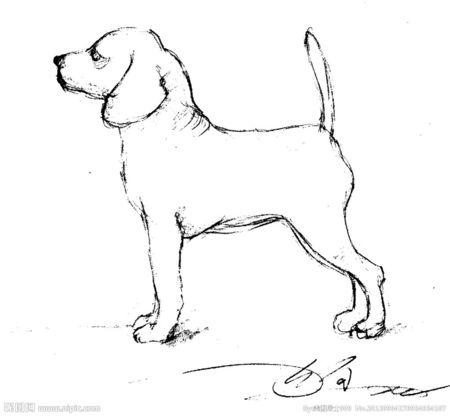 素描画小狗图片