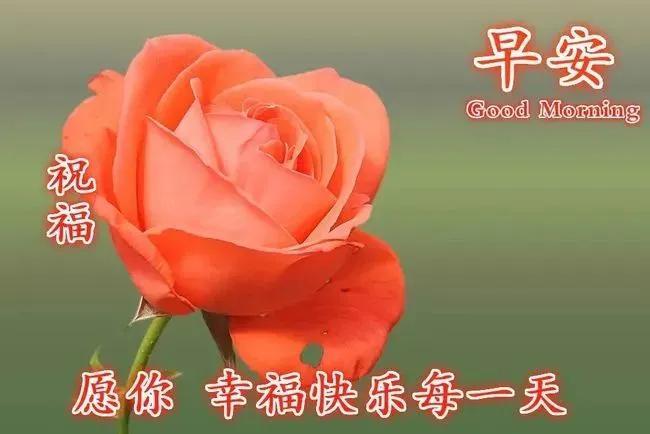 原创1月19日冬季早上好动图表情包图片带字冬天早安问候祝福语图片
