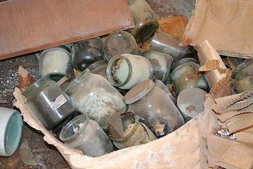 装婴儿尸体的罐子.