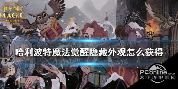 哈利波特魔法觉醒隐藏外观怎么获得 隐藏外观如何获取