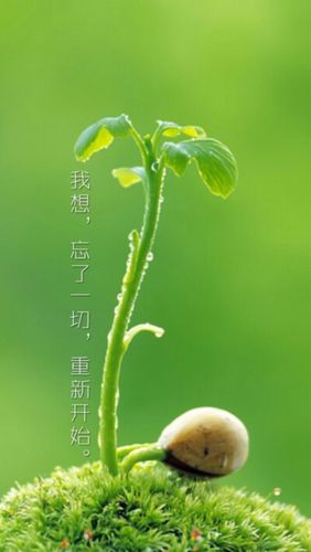 忘记一切重新开始