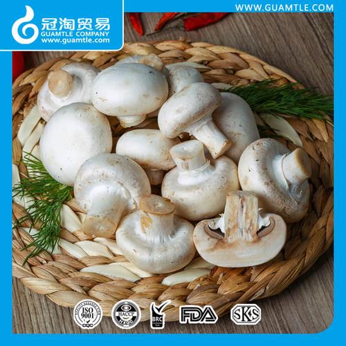 425ml canned button whole mushroom in tins (normal lid or easy