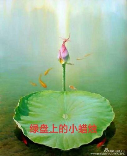 阿妈佛心上的一朵莲 53