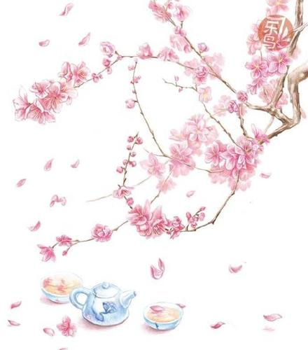 有哪些特别美的落花图片,高清的,类似这种?