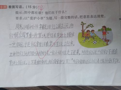 看图写话:爱护小草