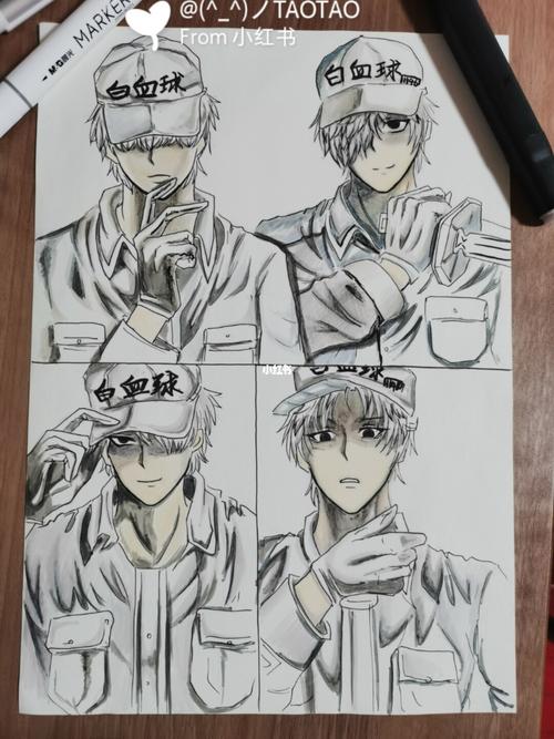 工作细胞,白细胞,手绘_手绘_文化_绘画