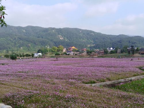 安义古村旅游景点攻略图