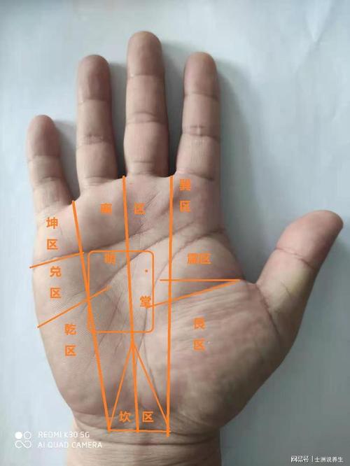 中医手诊之察言观色诊百病(1/2)|贫血|大鱼际|炎症