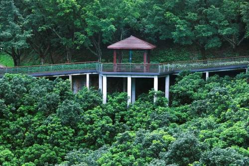 "淘金山绿道"背靠山麓,俯瞰深圳水库,还有绝美的驿站 智能出行