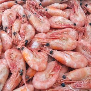 五斤装格陵兰头籽虾北极虾60-80大号带子头膏北极甜虾丹麦冰虾