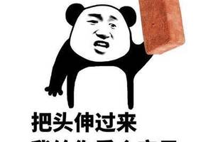 萌你一脸!可爱小猫咪表情包集锦