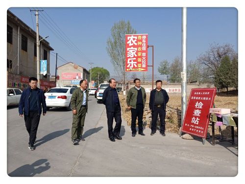 市政协主席韩保魁到阳邑镇督导检查清明节护林防火工作