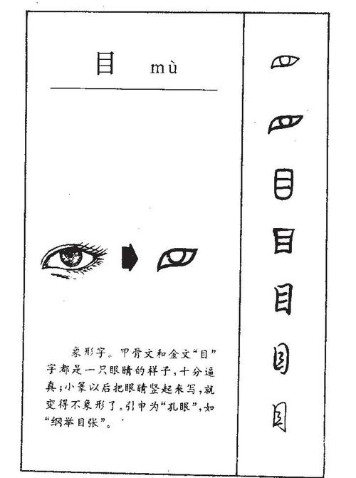 目(拼音:mù)是汉语通用规范一级汉字(常用字),此字始见于商代甲骨文