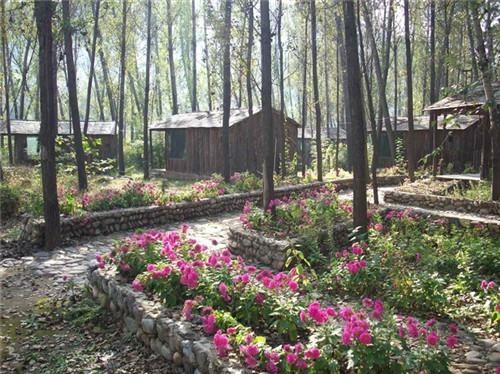 【京郊游】【怀柔】北京鹅和鸭绿色生态休闲农庄自助2日游,骑马/射箭