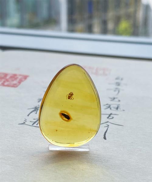 龙隐虎魄 缅甸天然琥珀虫珀--蜘蛛与甲虫