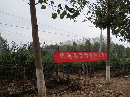 沈宋集村