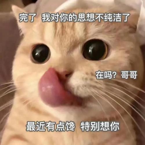 今天很想你,表情包