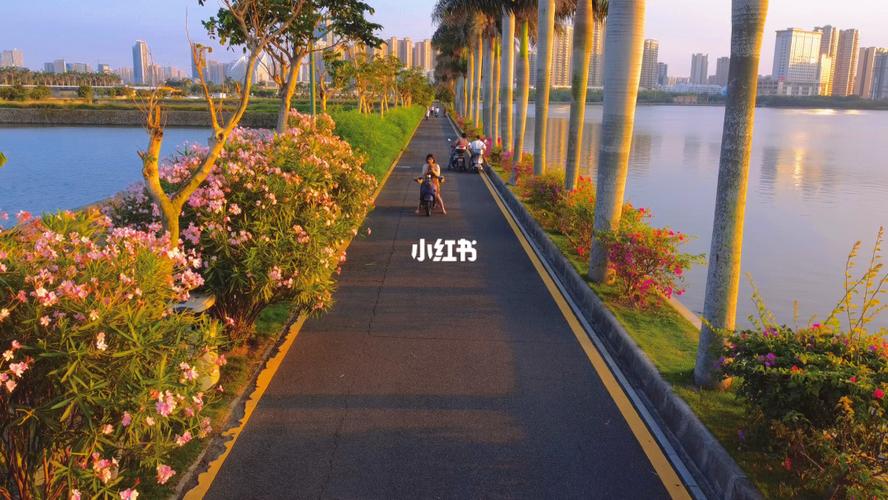 湛江_景点_滨湖公园攻略_来拍照了_出行_人文风光展示