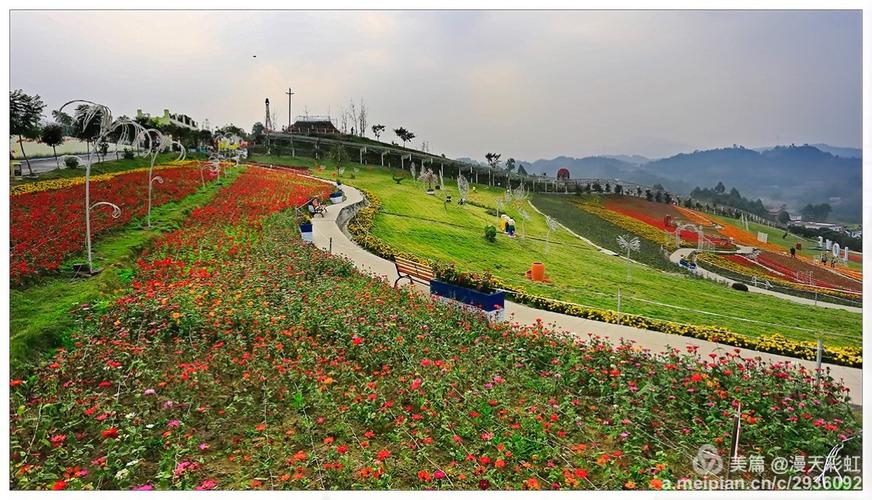 宜宾西部农庄—四季花海