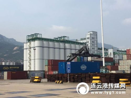 连云港庙岭散粮筒仓改扩建工程试投产