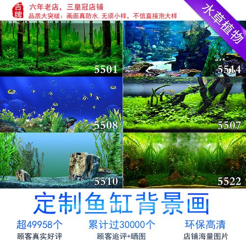 鱼缸背景纸画高清图3d立体水族箱贴纸龙鱼缸壁纸装饰造景水草定做商品