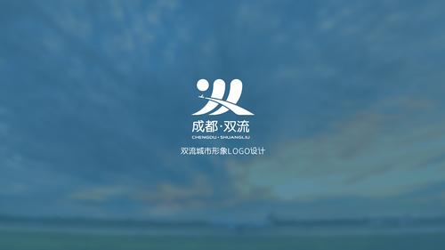 双流logo设计