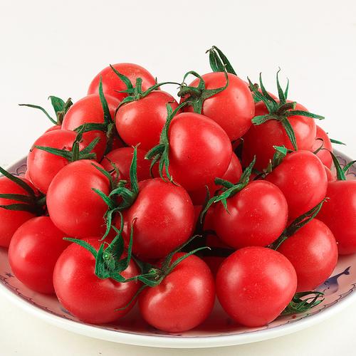 [度贡村旗舰店] 斤水果樱桃小柿子当季 5 千禧圣女果小西红柿新鲜包邮