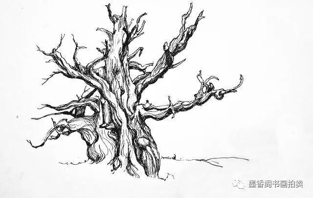 钢笔速写树的画法