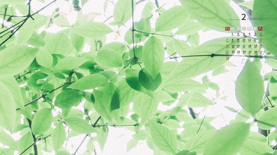2021年2月清新迷人养眼风光日历,月历壁纸-回车桌面