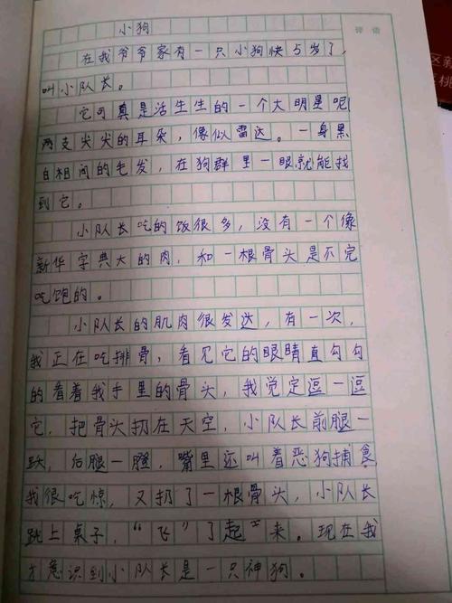 临沂九曲小学2016级一班作文活动——我的动物朋友