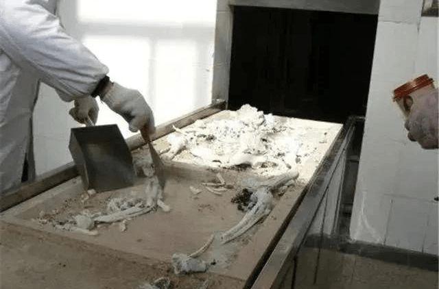 尸体|火化|骨灰|锤子_网易订阅