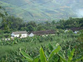 旧城自然村(云南省施甸县旧城乡旧城自然村)