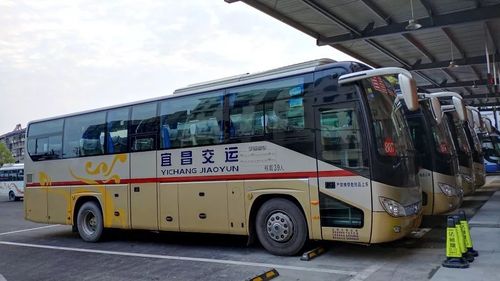 宜昌多条城际公交有调整