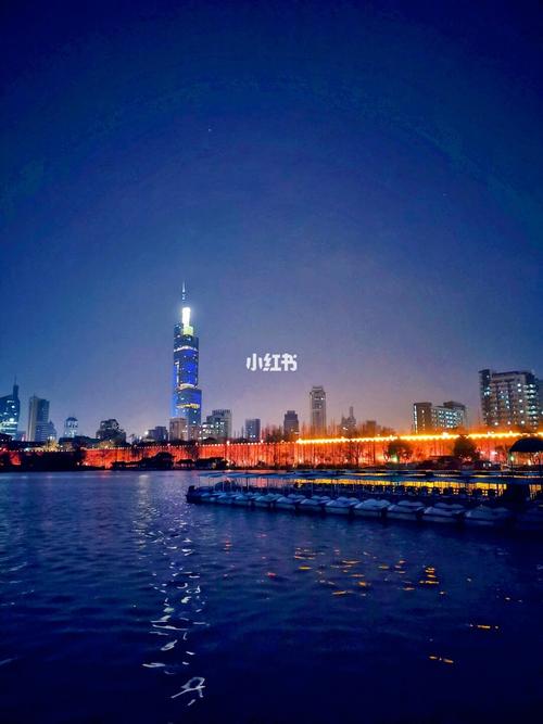 南京玄武湖的夜景_景点_夜景_玄武湖公园-玄圃攻略_玄武湖公园_出行