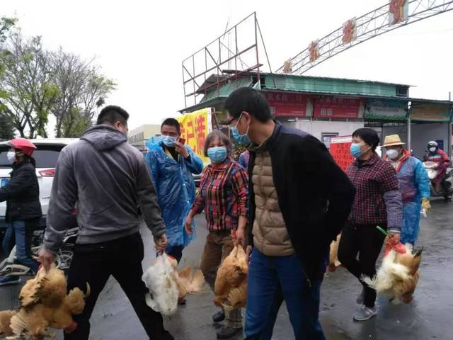 保证"菜篮子""米袋子""果盘子"都满!最近,鹤山"三农"人做了这些