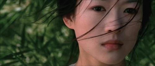 无论李安的新电影好坏 他都培养了一大批好演员