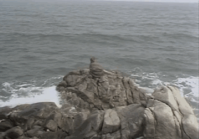 听·学课堂|一定超出你对孙悟空的认知.听陆生作老师讲《悟空"传"》吧