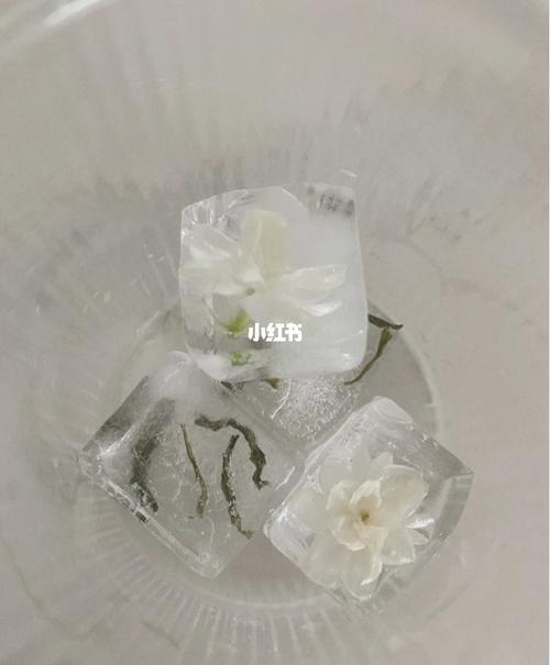 喝完都不敢大声说话～新鲜茉莉冻_柠檬_自制神仙饮品