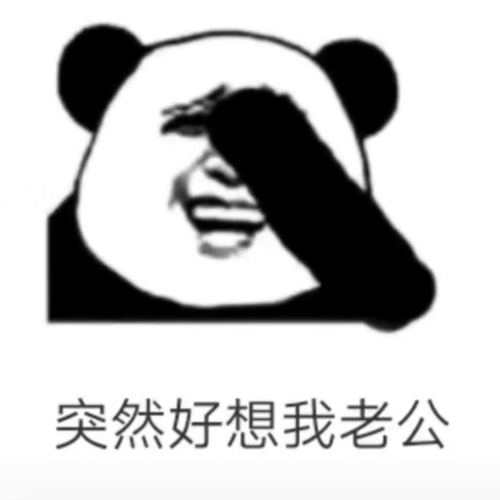 抖音突然好想我老公表情包