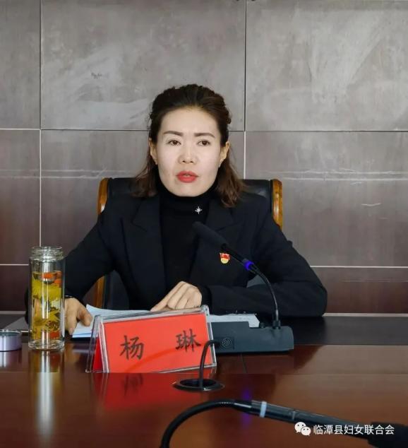 县政府副县长,县妇儿工委主任杨琳出席会议并讲话,会议由县政府信息化