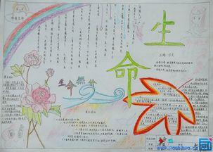 生命的手抄报简笔画