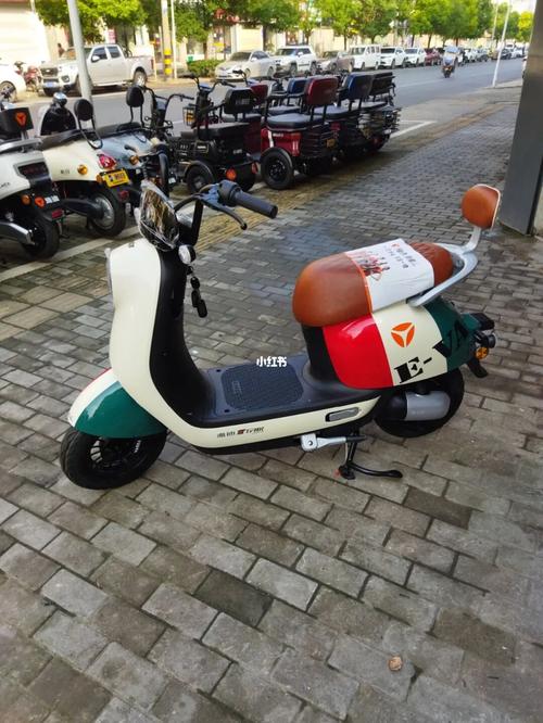 雅迪冠能q6复古风真漂亮_复古风_四季花都攻略_冠能怎么样_雅迪怎么样