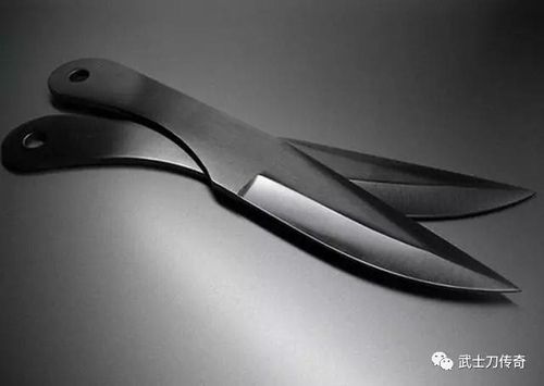 近距离搏斗的重要武器——战术匕首