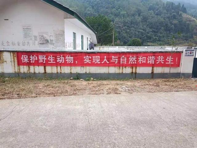 安远县天心林场做好野生动物保护宣传工作