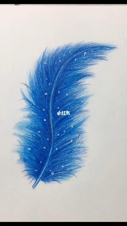 来一起用彩铅画好看又仙气儿的羽毛呀_彩铅画_彩铅_学习_文化_绘画