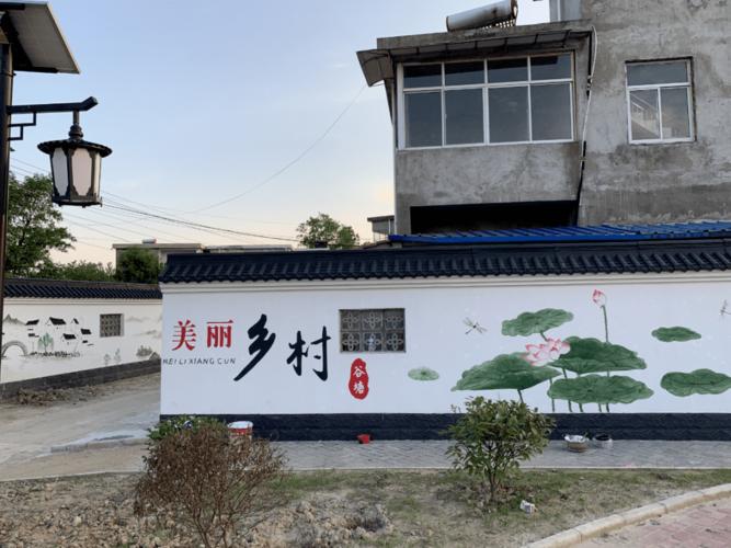 惊艳90后池州小伙回乡创作墙绘为美丽乡村添彩